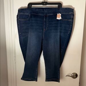 Lane Bryant pull on Jegging Pedal Mid Rise